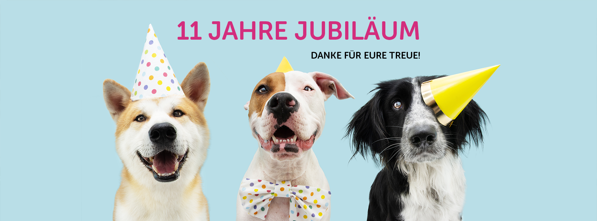 Slider - 11 Jahre Jubiläum | Pfotenoase KG